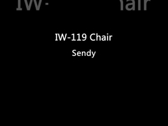 Diner en bois tapissé par cuir ne préside aucun accoudoir avec Ash Wood Black Color