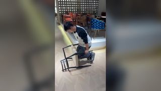 Chaise de salle à manger sculpturale en bois de frêne, design moderne